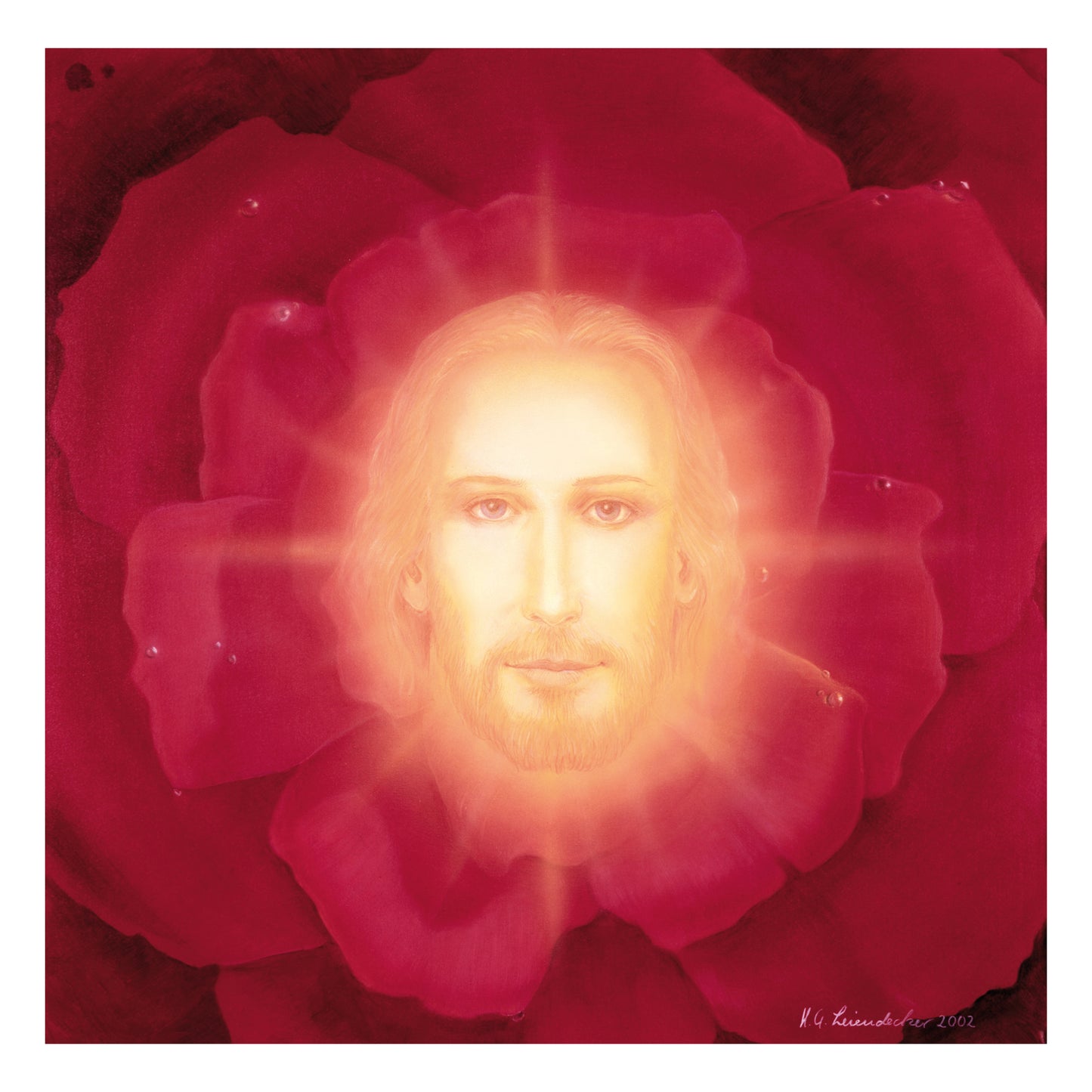 Light Rose - Original