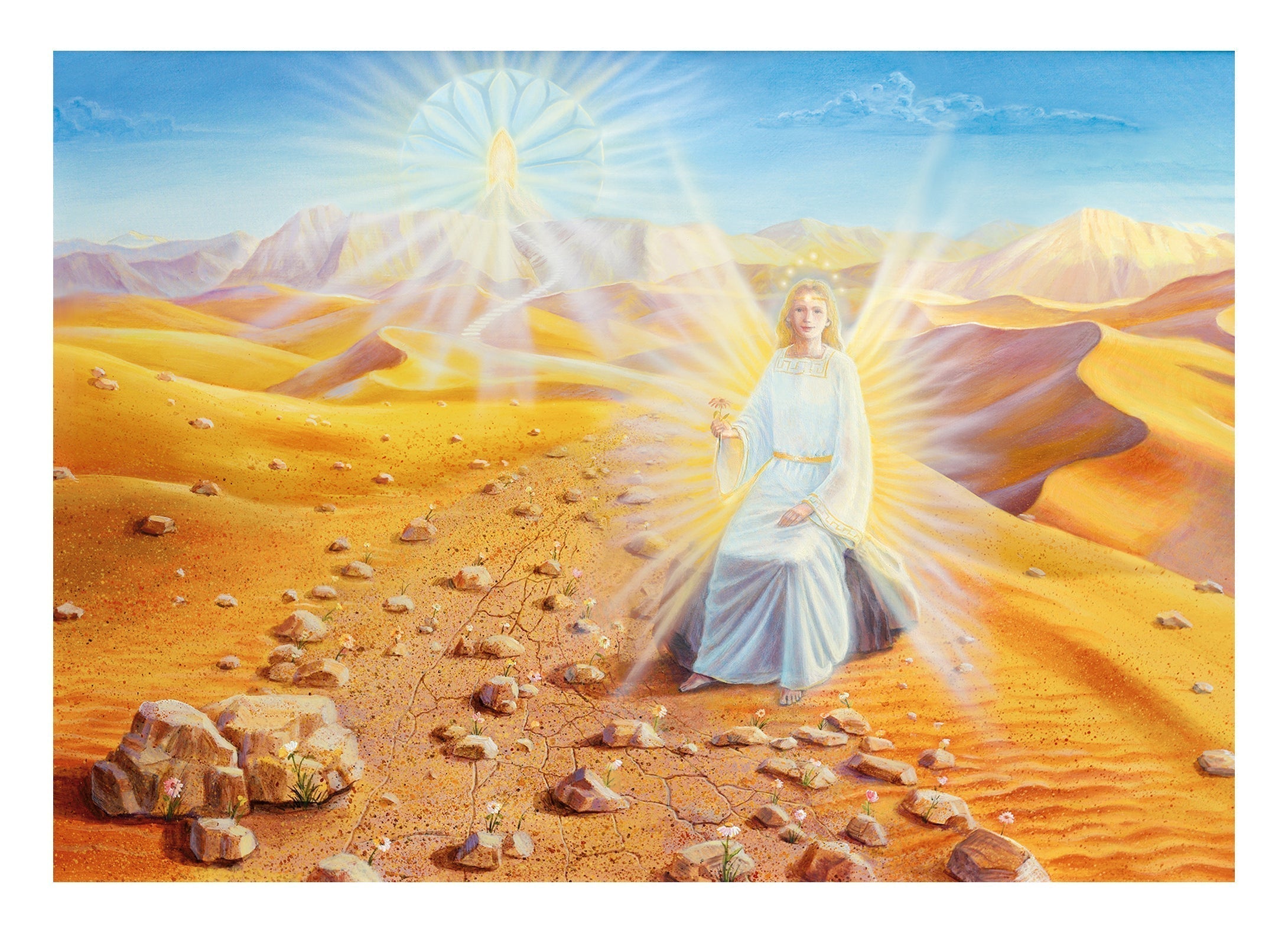 Gratitude for life's stumbling blocks
