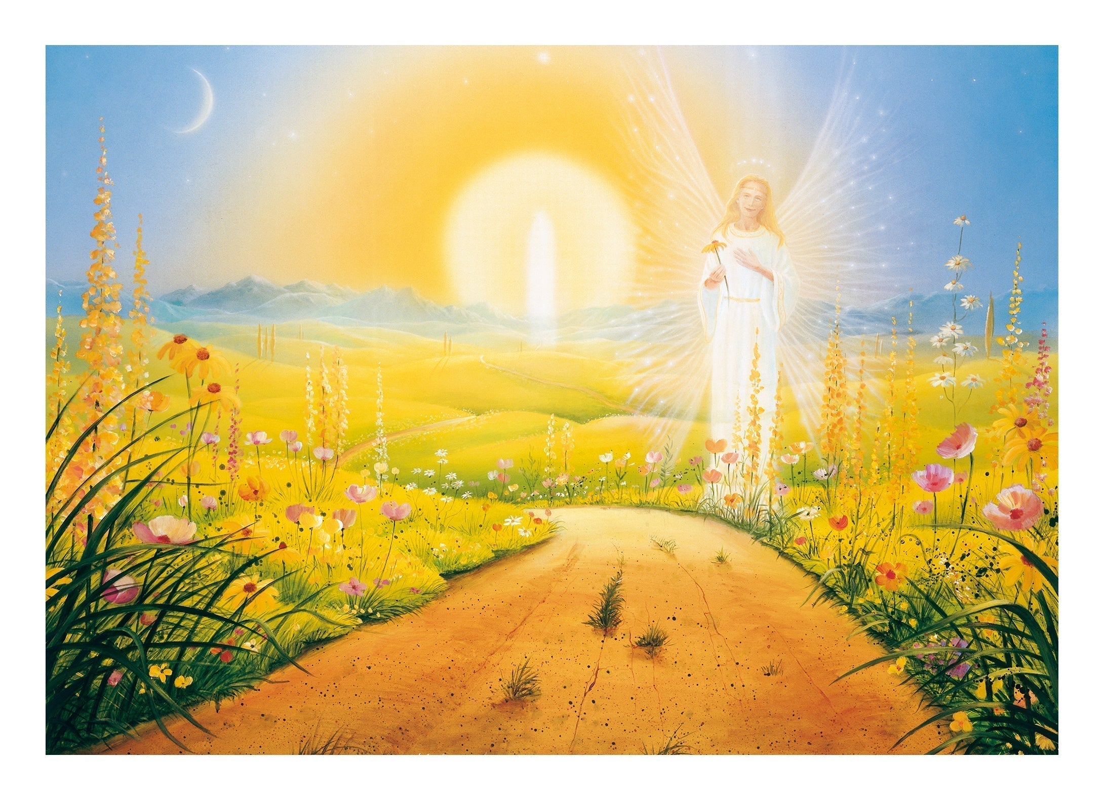 Flowers of gratitude on the path of life