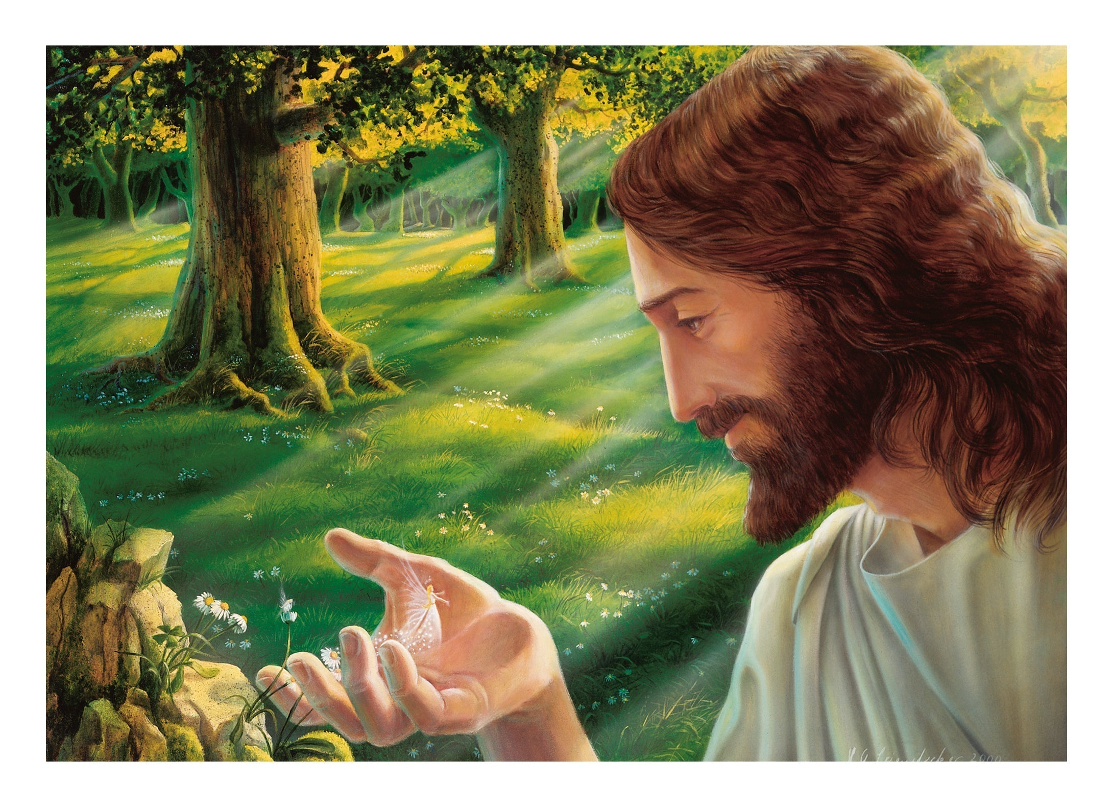Jesus and the Flower Fairy