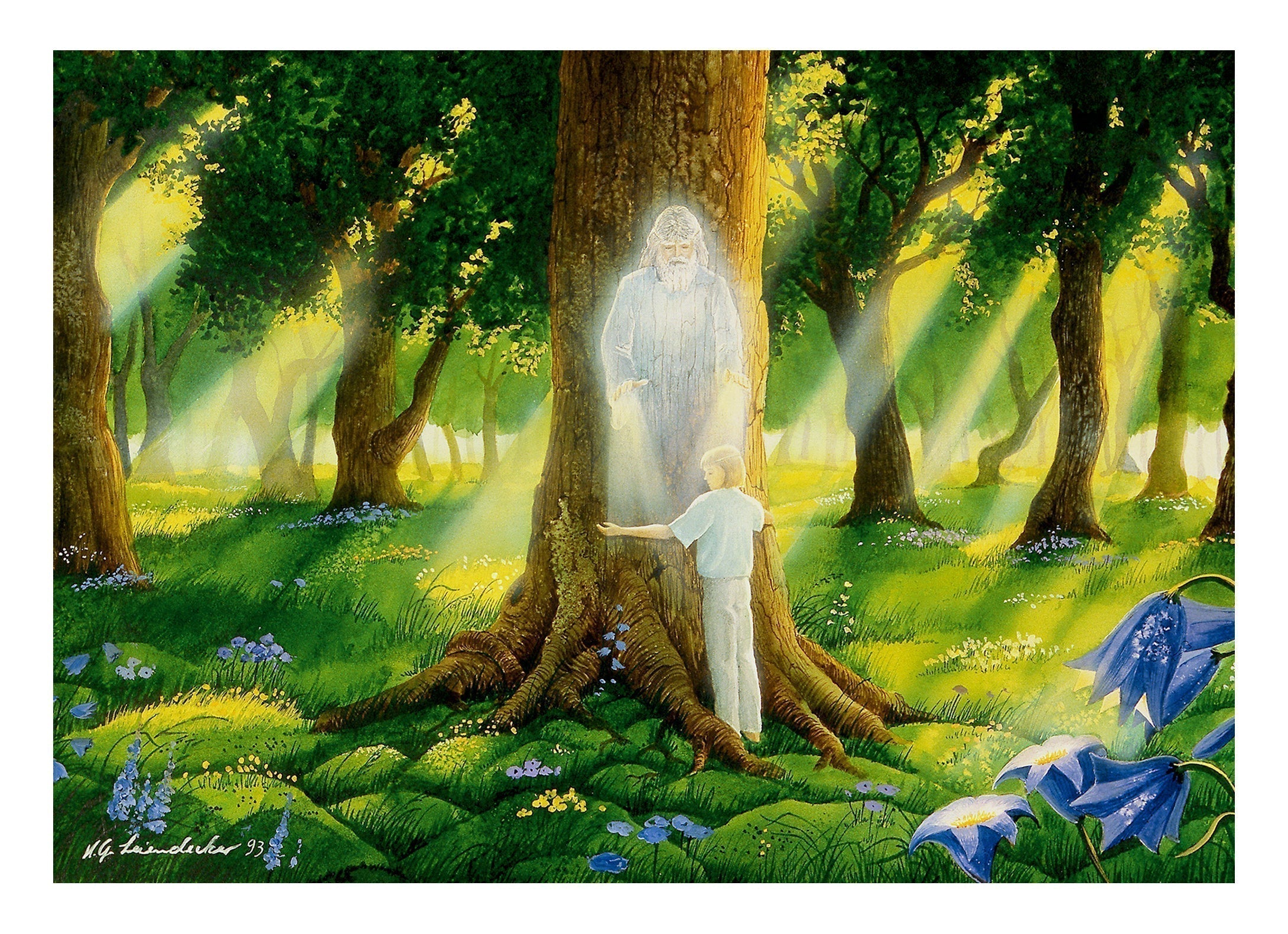Life cycle - Tree spirit