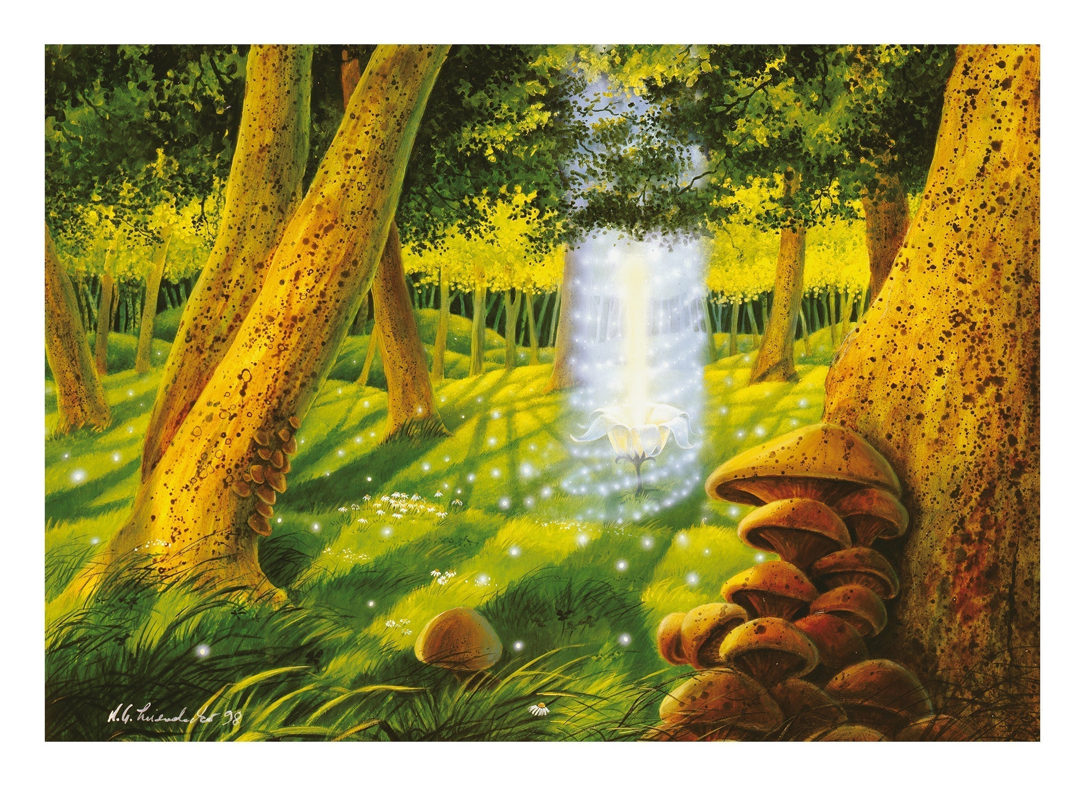 Light of the Forest Fairy
