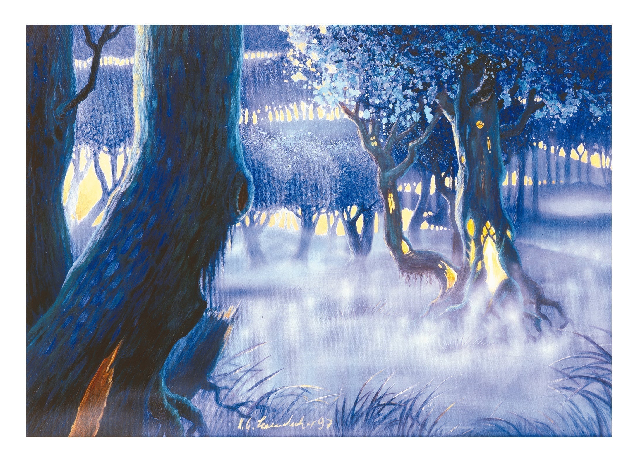 Light of the Forest