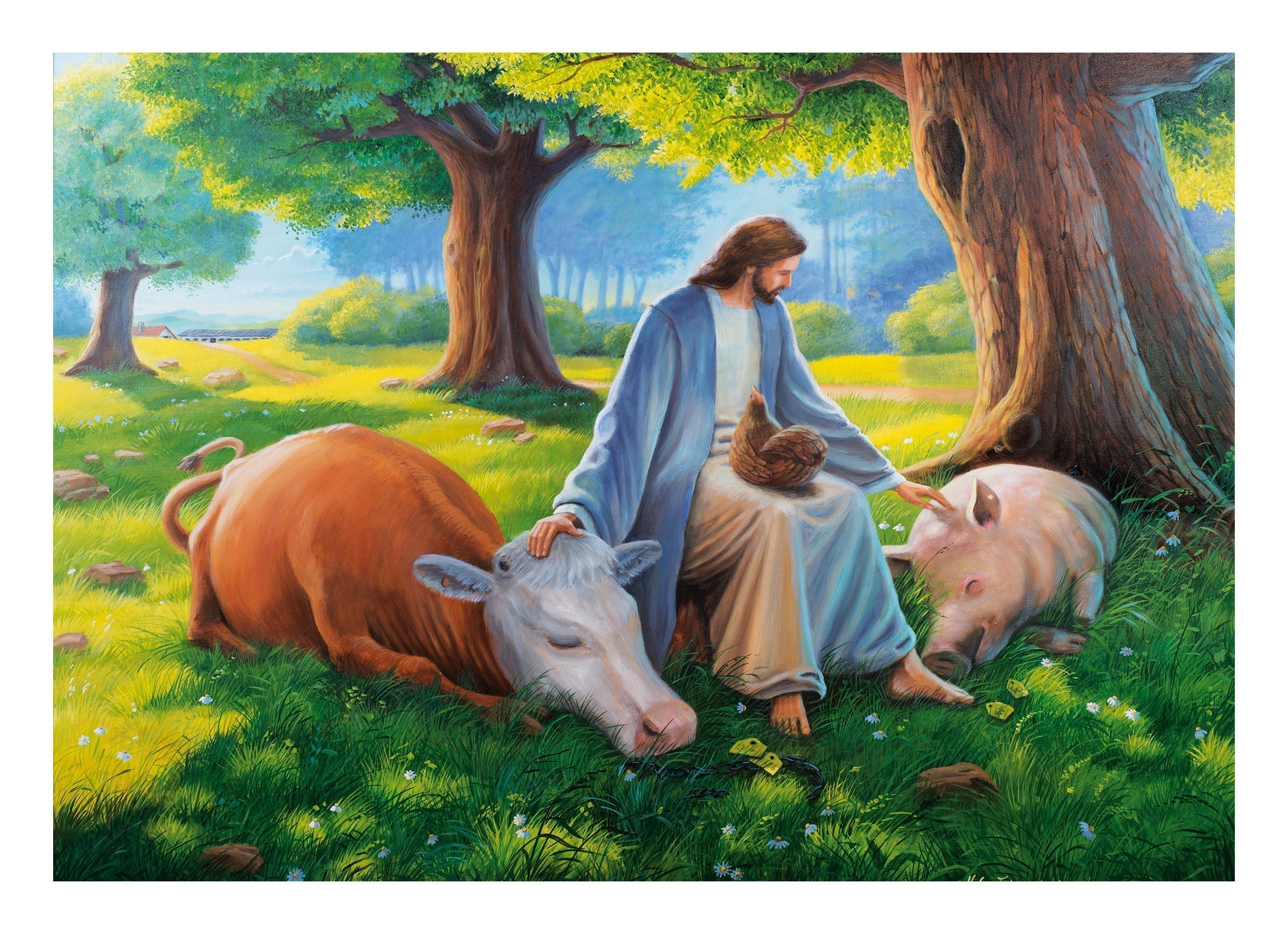 Love for God's creatures