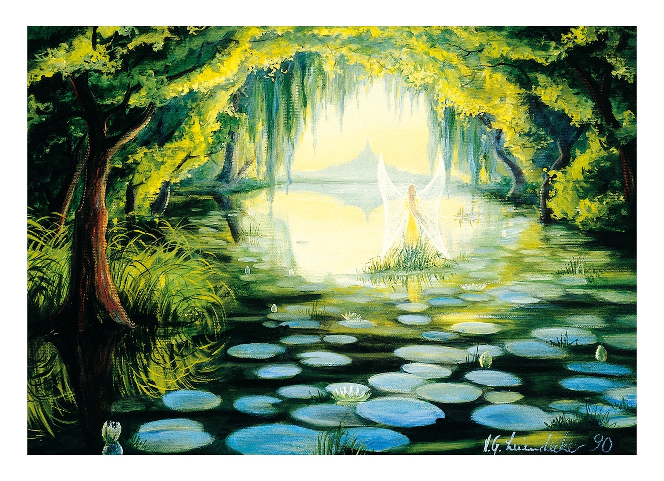 Water lily pond