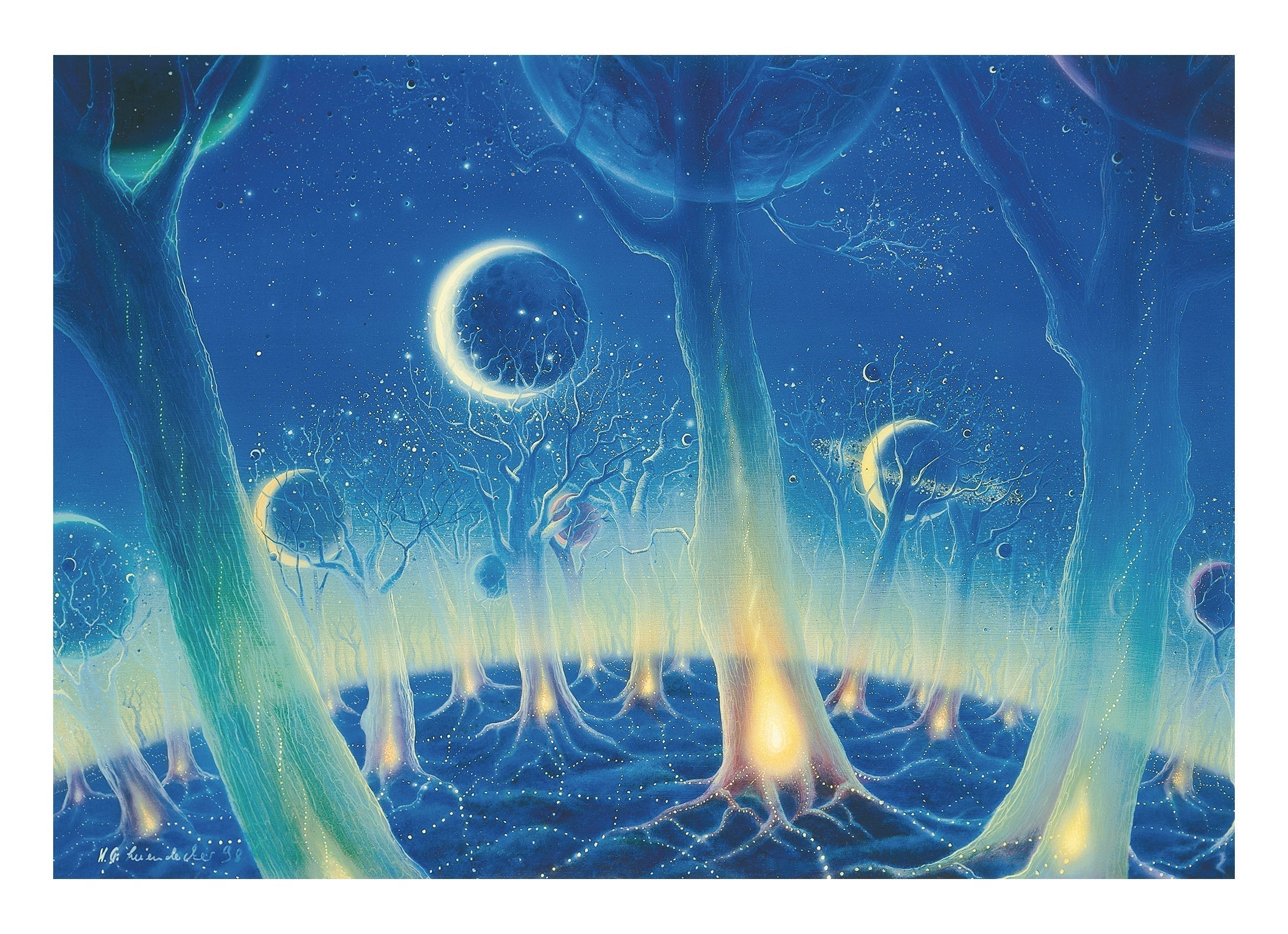 Star Forest