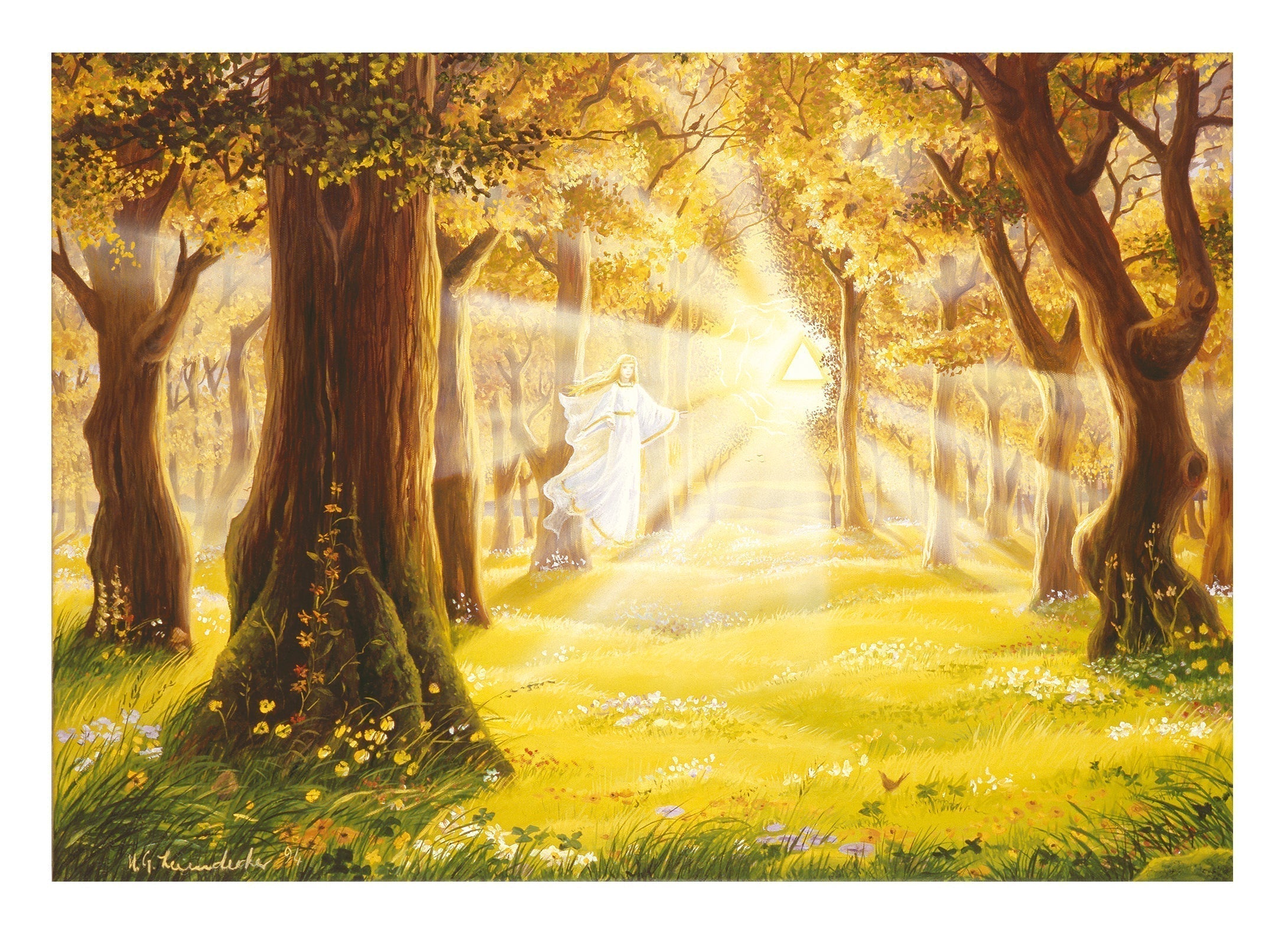 Forest light