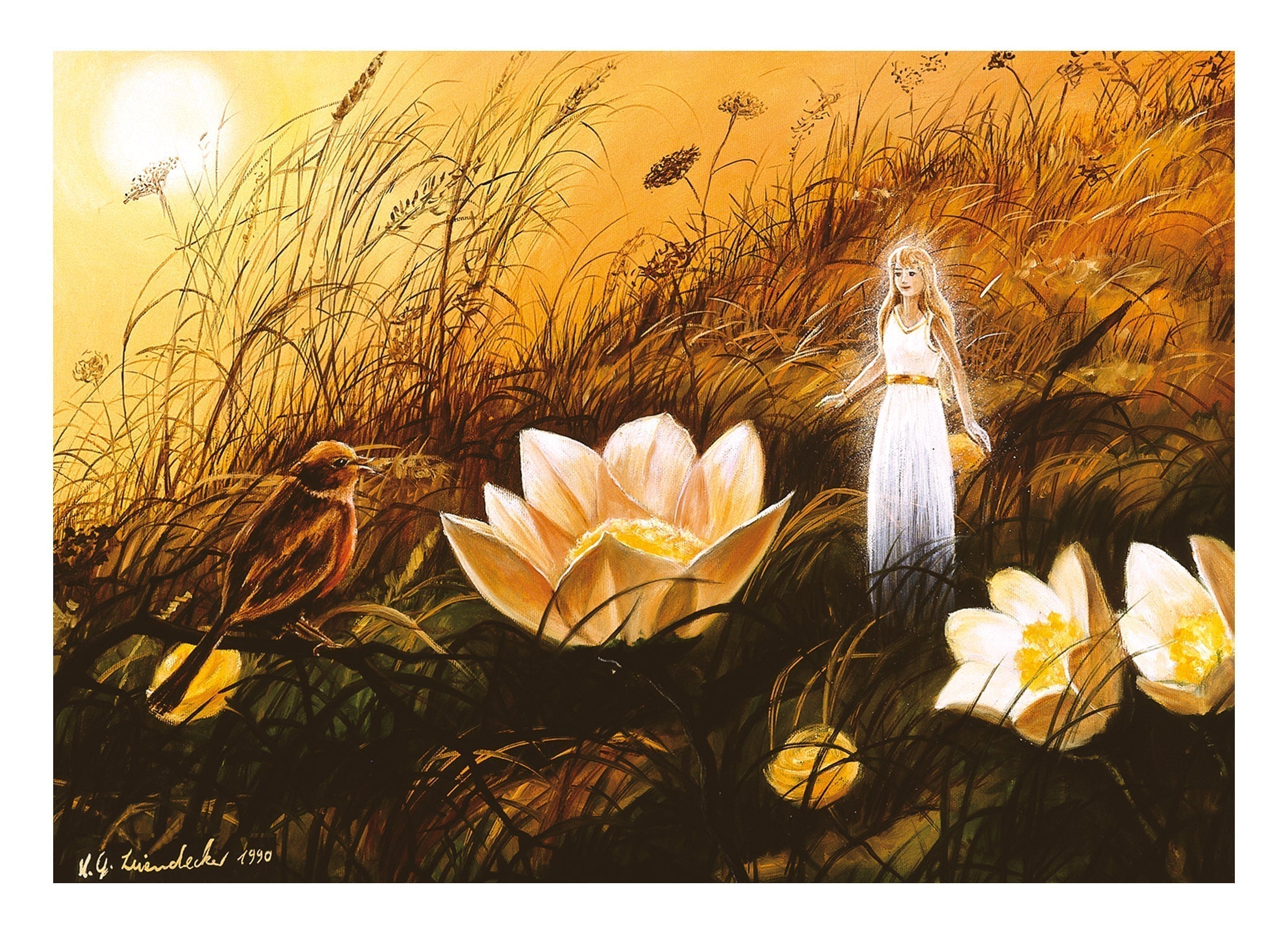 Meadow Elf