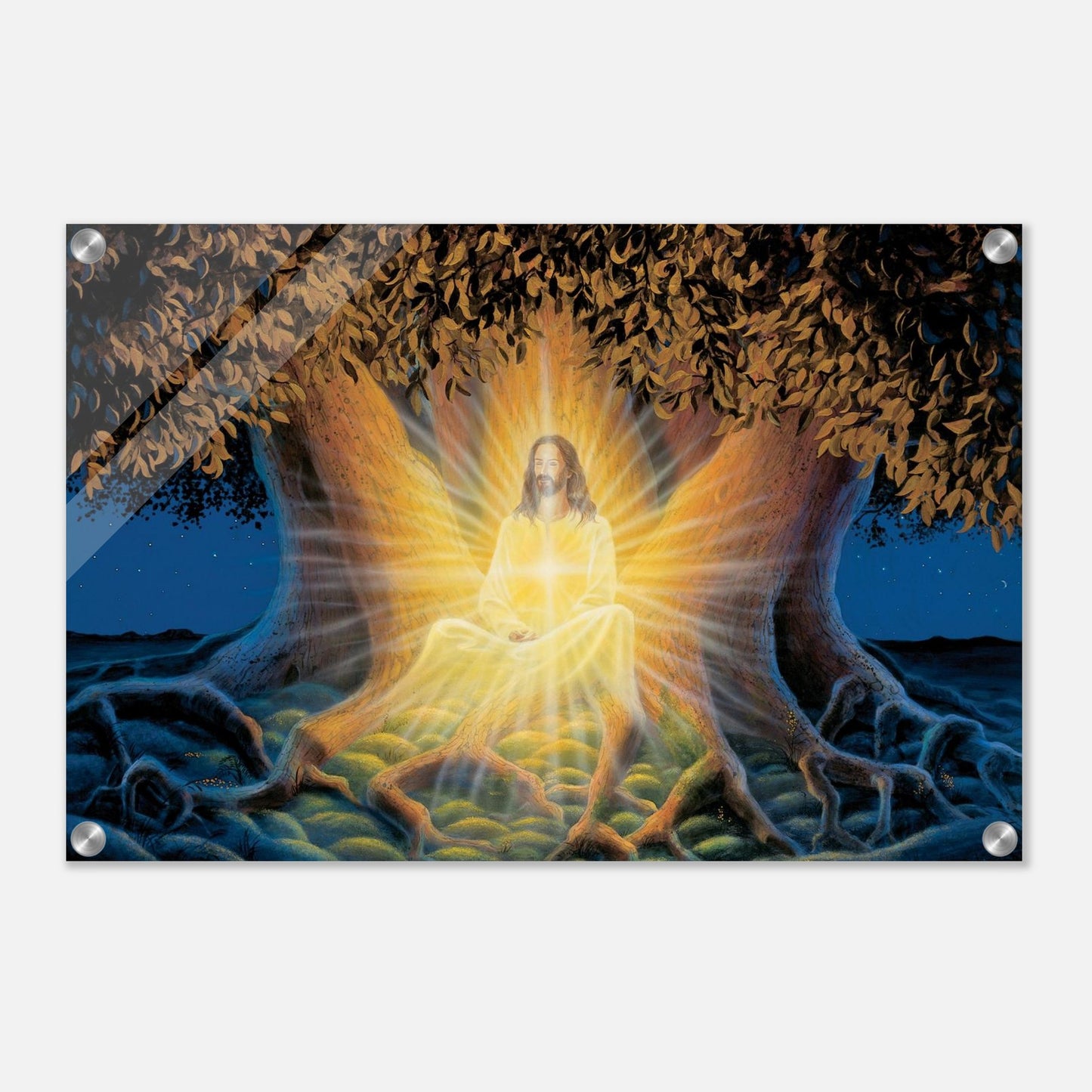 1996a002-3e10-4065-bcbf-c610c03c4423