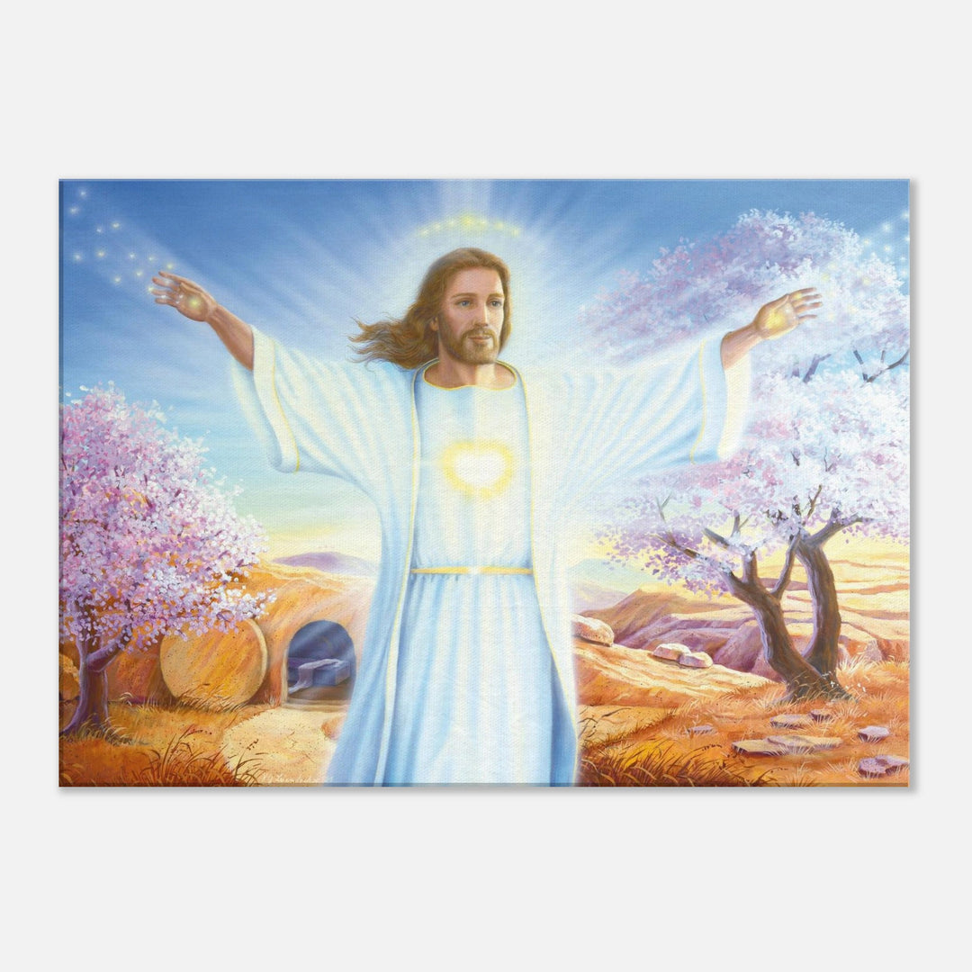267c59ea-e6f7-493d-bb6d-54d3ecfd8d1e