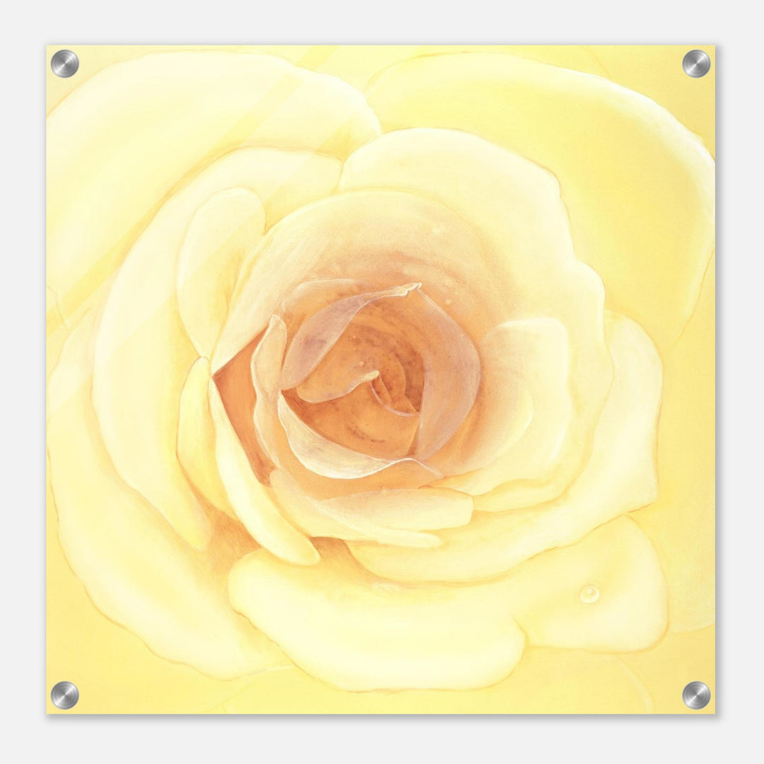 819c9d54-6d8d-41fc-b4a8-5cee8f160c3c