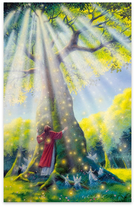 Angel pictures