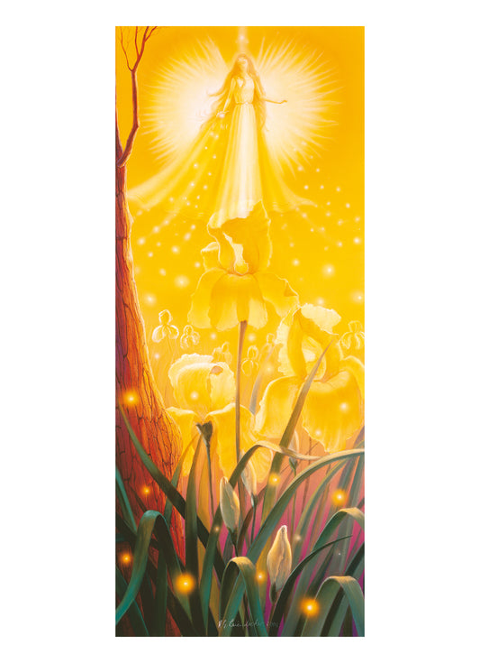 Angel of the Iris - Original