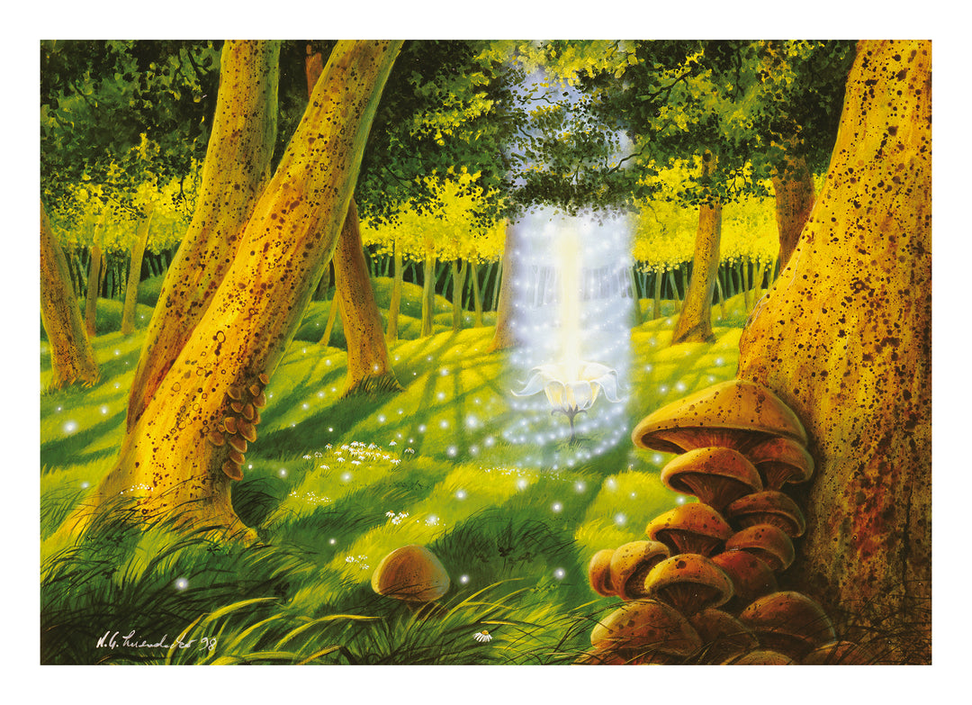 The Light of the Forest Fairy - Original