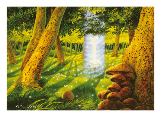 The Light of the Forest Fairy - Original