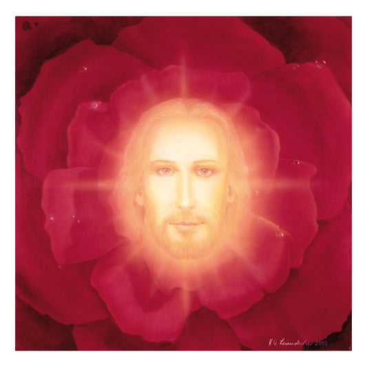 Light Rose - Original