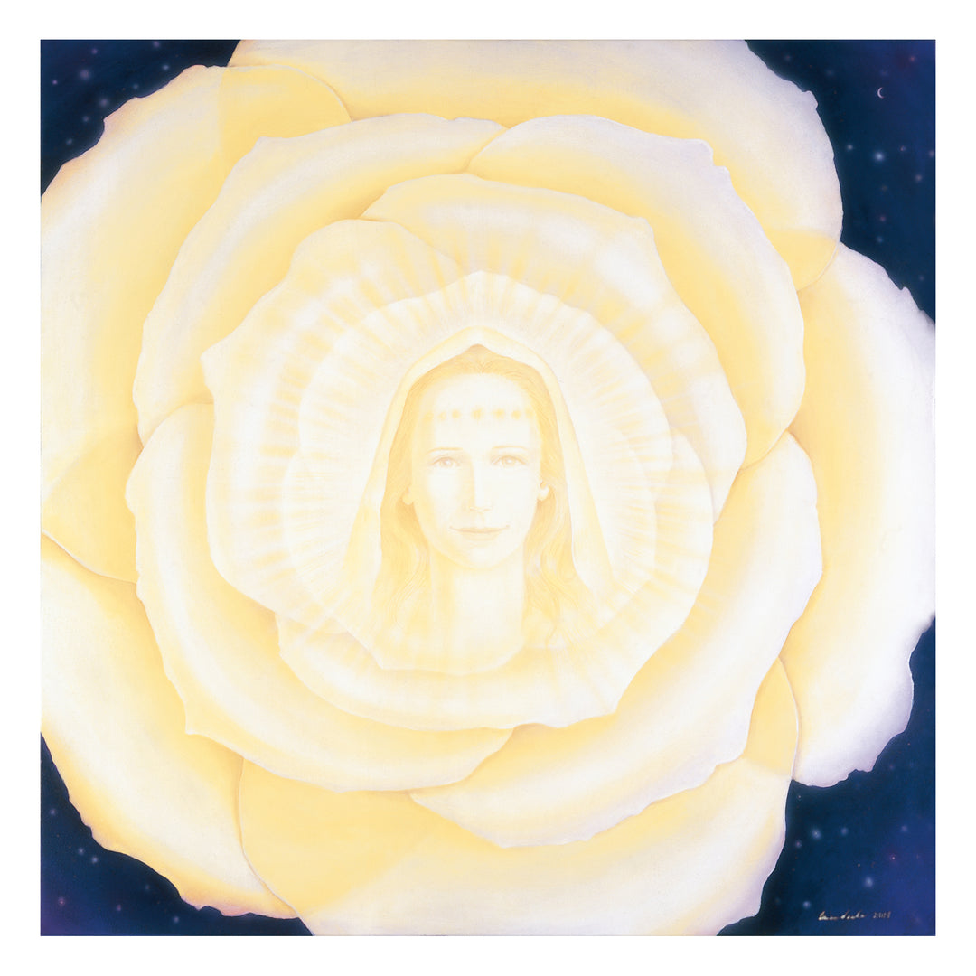 White Rose - Original